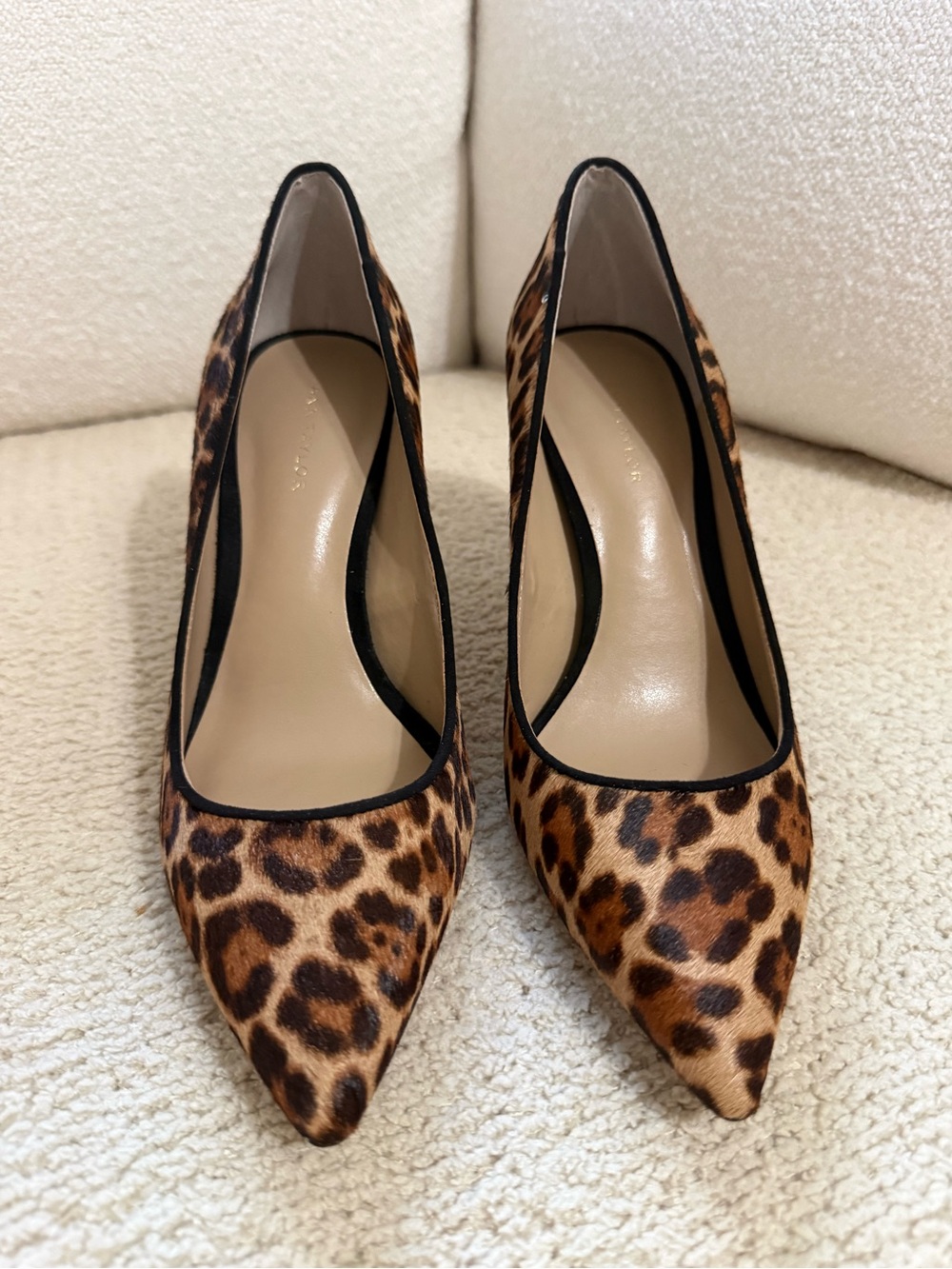 Ann Taylor Leopard-Print Pointed-Toe Pumps - Brown/Black
